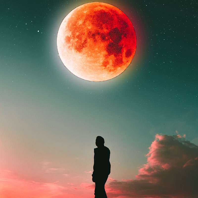 Next Level Destination